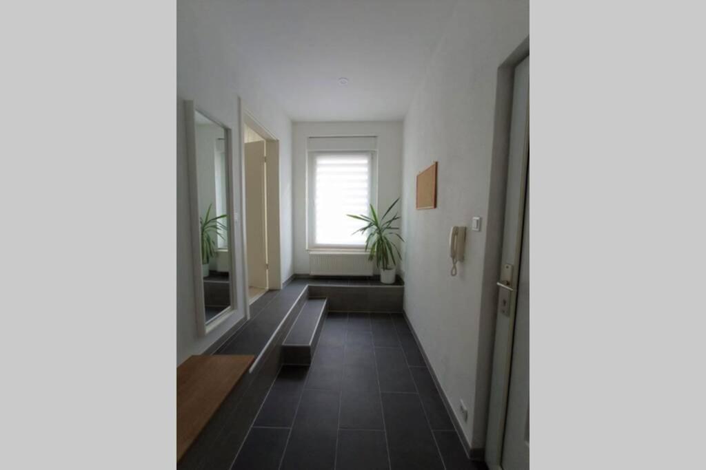 Fewo Zum Schloss Weißenfels Extérieur photo